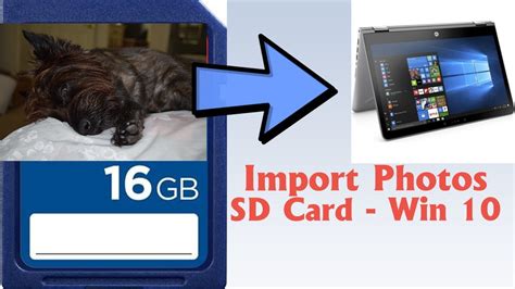 how to insert camera sd card in laptop|How to Import Photos From Your Camera Onto a Windows 10 PC .